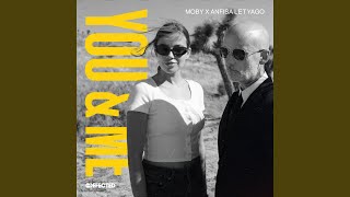 You amp Me Moby Remix [upl. by Agnella624]