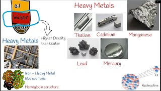 Heavy Metal Poisoning Toxicity Causes Symptoms and treatment Lead poisoning cadmium poisoning [upl. by Ulric397]