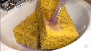 softening up my rock hard sponges  sponge ASMR [upl. by Akemak]