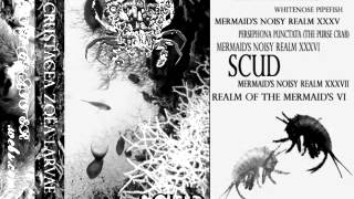 Crustacea Zoëa Larvae  SCUD Tape Full Album [upl. by Notlem]