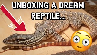 Unboxing One Of My Dream Reptiles Argus Monitor  IAmPrinceWill [upl. by Burman496]