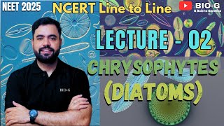 Biological Classification  Topic  Chrysophytes  Diatoms  Lecture 02  neet  Ncert Biology [upl. by Parris253]