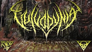 Vulvodynia  Bestial Insemination OFFICIAL HD AUDIO [upl. by Suzzy453]