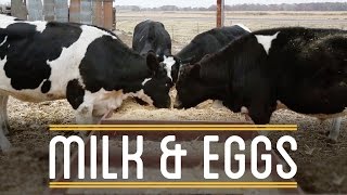 Milk amp Eggs  How to Make Everything Sandwich 612 [upl. by Zarger]