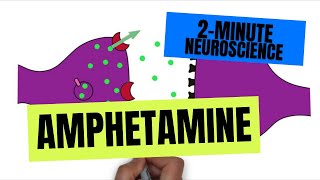 2Minute Neuroscience Amphetamine [upl. by Troy97]