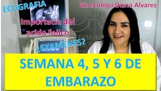 😍EMBARAZO SEMANA a SEMANA PRIMER MES DE EMBARAZO SEMANAS 4 A 7 por GINECOLOGA DIANA ALVAREZ [upl. by Ltney]