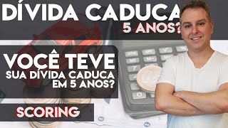 💳 DÍVIDA CADUCA DE 5 ANOS e o SCORE e o Sisbacen E agora  Leandro Vieira💳🔝 [upl. by Salinas]