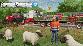 Richesse Familiale 3  Arrivée des MOUTONS amp 2 NOUVEAUX ouvriers Farming Simulator 22 RP [upl. by Neumann194]