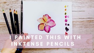 BOTANICAL PAINTING WITH DERWENT INKTENSE PENCILS [upl. by Dougherty]