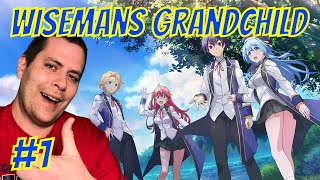 Reincarnation in Another World with God level Magical PowerWise Man Grandchild Episode 1 Explained [upl. by Tyika]