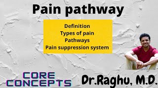 Pain pathway  Pain physiology  Pain suppression system  Gate control theory  Neurophysiology [upl. by Steele]