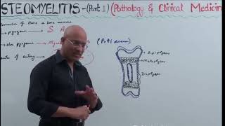 osteomyelitis Pathology by Dr Najeeb [upl. by Arundel]