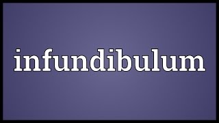 Infundibulum Meaning [upl. by Stoops]