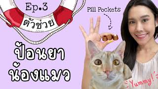 ตัวช่วยในการป้อนยาน้องแมว Ep3 Pill pockets [upl. by Dat187]