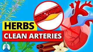 Top 10 Herbs to Clean Your Arteries that Can Prevent a Heart Attack [upl. by Alano]