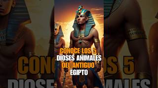 CONOCE LOS 5 DIOSES ANIMALES DEL ANTIGUO EGIPTO [upl. by Sirred]