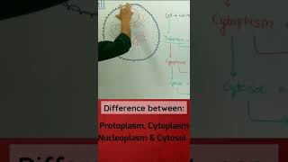 Protoplasm vs Cytoplasm vs Nucleoplasm vs Cytosol  apnasapnajrf [upl. by Aicenav]