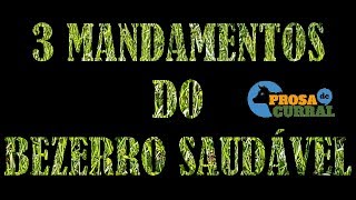 3 Mandamentos do Bezerro Saudável [upl. by Lavella]