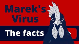 Mareks Virus  The facts [upl. by Obeng]