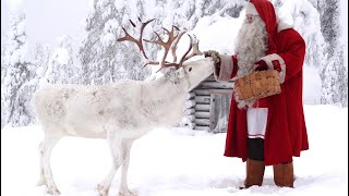 Message of Santa Claus in Lapland for kids 🎅🦌🎄 Christmas is coming soon Father Christmas amp children [upl. by Dranyer]