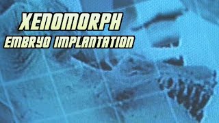 Xenomorph Embryo Implantation Process  Explained [upl. by Comyns]