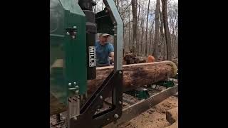 Nice Knotty Pine with blueing on the Sawmill  Log 3 sawmill wood [upl. by Ennire671]