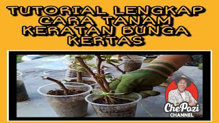 TUTORIAL CARA TANAM KERATAN BUNGA KERTAS  Part 2 [upl. by Emoraj]