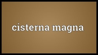 Cisterna magna Meaning [upl. by Ayotol]