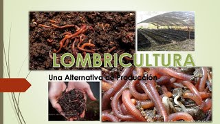 La Lombricultura como negocio rentable [upl. by Izzy440]