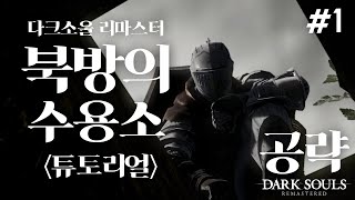 다크소울1 리마스터 공략 북방의 수용소수용소의 데몬 공략 [upl. by Sumetra840]