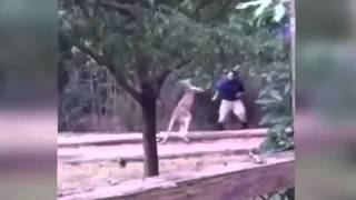 Epic fail compilation 6 [upl. by Oos]