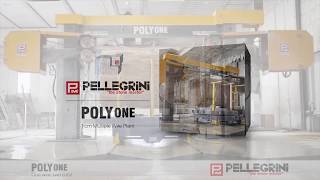 PolyONE [upl. by Nois64]