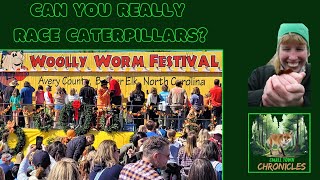 Exploring the Woolly Worm Festival Banner Elks Charming Tradition  Small Town Chronicles [upl. by Furtek]