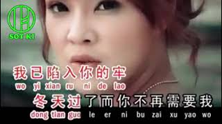 karaoke mandarin BAO RONG [upl. by Ewall]