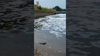 Cromwell weir barbel fishing  river Trent  Collingham [upl. by Gerome]