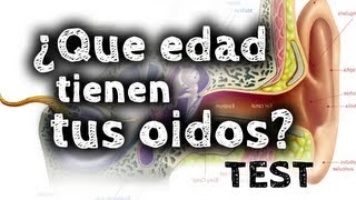 ¿Qué edad tienen tus oidos Test auditivo [upl. by Acinyt903]