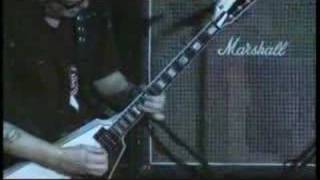 MICHAEL SCHENKER  ROCK BOTTOM  LIVE2008 [upl. by Dinse452]