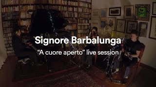 Andrea Cerrato  SIGNORE BARBALUNGA quotA cuore apertoquot live session [upl. by Rosmarin]