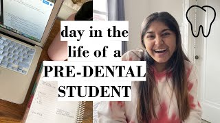 A Day in the Life of a PreDental College Student [upl. by Onitnerolf98]