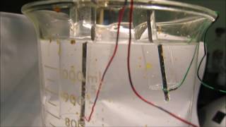 Experiment 4 water  NaCl electrolysis [upl. by Claudia]