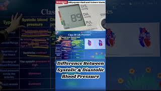 Difference Between Systolic amp Diastolic Blood Pressure  Class 10  Life Process [upl. by Mace75]