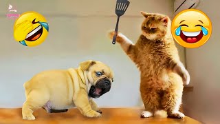 Best Funny Animals 2024 😂 Funniest Dogs and Cats Videos 😻🐶 part 75 [upl. by Eng]