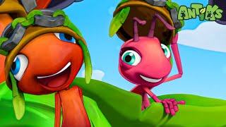 Ant Run 🔴NEW EPISODE🔴  Funny Cartoons For All The Family  ANTIKS 🐜🌿 [upl. by Adnohsirk546]