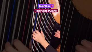 To play the Paraguayan Harp  Guarania shorts arpaparaguaya reservistapurahei [upl. by Siroval]