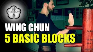 Wing Chun Five Basic Blocks [upl. by Aipotu]