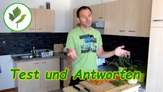 Sous Vide 2 Was ist das Braucht man das ALDI Sous Vide Stick Test [upl. by Budworth]