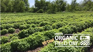 Medicinal Herb Production at Four Elements Organic Farm [upl. by Clark]