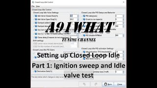 MegaSquirt TunerStudio Closed loop idle Tuning part1 [upl. by Airtened730]