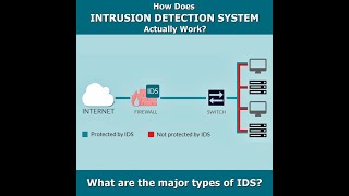 Intrusion Detection Systems IDS In Cyber Security  Cybex Sword [upl. by Gusti42]