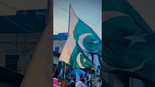 Watan ishq e mann 🇵🇰🫶🏻 jashaneazadi 14august status video 2024 shorts [upl. by Jasun]